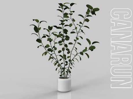 Flower Vase #1