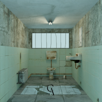Old Toilet Backdrop