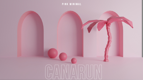 Pink Minimal Backdrop